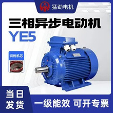 一級能效電動機 YE5系列 75kw 1.1kw 1.5kw 22kw 30kw 55kw 電機3