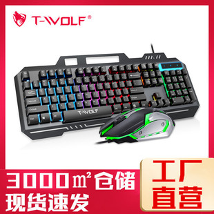 T-WOLFTF600IbоUSBlkeyboardF䓰T16IP