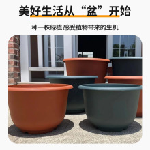 荷花水培植物種植中大型塑料圓形花盆泥紅墨綠色國產環球牌基地用