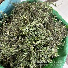 批發雲南小山茶涼茶東紫蘇茶水涼茶干花花茶散裝現貨500克包郵