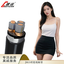 WDZCNYJY低煙無鹵345芯耐火純銅電線阻燃610162535平方電力電纜線