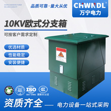 歐式10KV電纜分支箱高壓分接箱進出線630A戶外一進三出電纜分支箱
