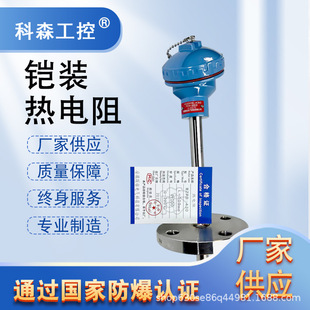廠家直供鎧裝熱電偶PT100耐高溫耐腐蝕溫度傳感器K型熱電阻熱電偶