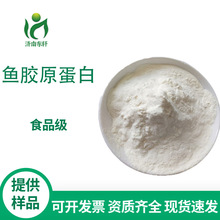 現貨供應魚膠原蛋白 深海鱈魚皮提取 魚膠原蛋白肽粉魚膠原蛋白肽
