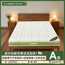 防蟎抑菌酒店床墊黃麻席夢思床墊家用卧室榻榻米彈簧床墊硬墊子
