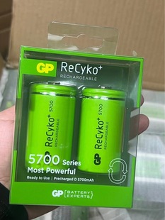 GPٸ1̖RecykoԷ5700懚늳D