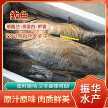 供應香醇咸鮁魚干貨 水產海鮮干制水產品鮮香咸鮁魚干廠家批發