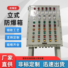 隔爆型立式防爆箱碳鋼不銹鋼隔爆型電氣控制櫃接線箱配電箱