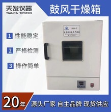 數顯恆溫鼓風干燥箱實驗室烘干箱電熱恆溫烤箱高溫烘箱