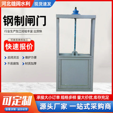 鋼制機閘一體式閘門鑄鐵鋼制不銹鋼電動液動多種款式源頭廠家