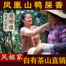 【鳳姐家茶 鴨屎香】新春茶鳳凰單叢 潮州高山單樅茶單從烏龍茶葉