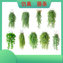 仿真壁掛 吊藍植物 假花藤條  掛壁裝修藤條 管道吊頂植物牆裝飾