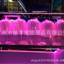 錦鯉魚蝦觀賞魚打包袋航空托運四角方底運輸包裝袋子魚袋批發
