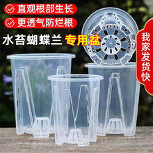 透明青山控根盆蘭花水苔蝴蝶蘭專用花盆塑料透氣鏤空大號花盆家用