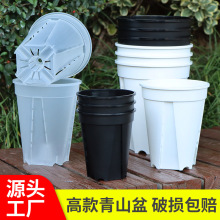 加高透明青山盆 陽台露台園藝盆栽盆石斛蝴蝶蘭盆朱頂紅塑料花盆