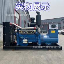 350kw發電機組 工廠工地酒店養殖場學校200/250/350千瓦發電機組