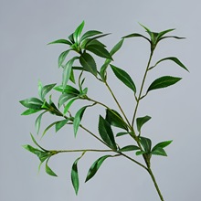 仿真馬醉木日本吊鍾綠植6叉假樹葉枝條客廳花瓶裝飾插花造景植物