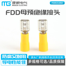 FDD 母預絕緣接頭銅鼻子端頭 FDD5.5-250母預絕緣片接線端子