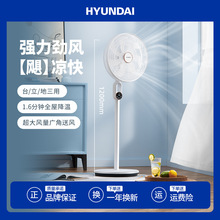 電風扇家用落地扇台式強力宿舍客廳卧室小型靜音搖頭風扇可升降