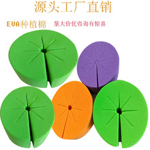 批發海棉EVA種植棉無土栽培蔬菜種植定位綿48*18MM現貨EVA水培棉