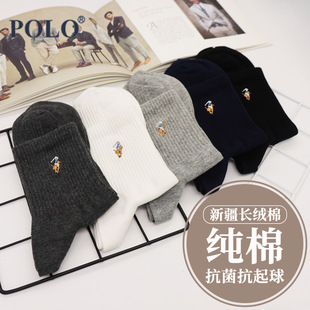 polo_Ͳļmoǽ伃mӷɫ\ʿml