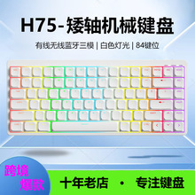 跨境84鍵矮軸機械鍵盤 藍牙無線有線三模辦公紅軸透光電腦鍵盤