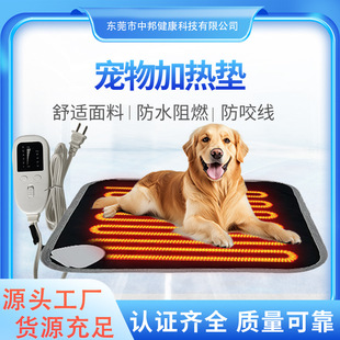 羳¿m늟̺ ﶬضȿ{ӟ|pet heating mat