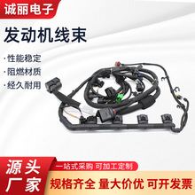 汽車線束發動機線束汽車喇叭線束大燈線束音頻線束
