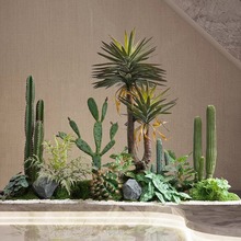 仿真綠植室內樓梯下造景真仙人掌擺件轉角盆栽景觀植物造景裝飾