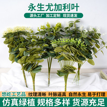 跨境綠植仿真 高級感尤加利葉仿真花綠葉子婚慶攝影直播間道具