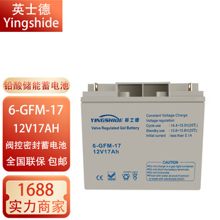 Ӣʿ늳6-GFM-17/12V17AH24AH38AH65AH100AH120AHSo