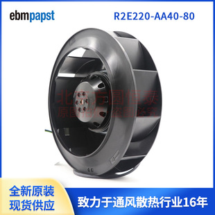 ƙL R2E220-AA40-80 embpapstL 85W 230VAC LC