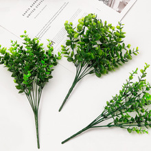 仿真尤加利塑料花 盆栽客廳把束水草假花假花 綠色仿真植物金錢草