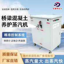 橋梁T梁養護蒸汽機電熱蒸養機蒸汽發生器蒸汽鍋爐全自動蒸汽鍋爐