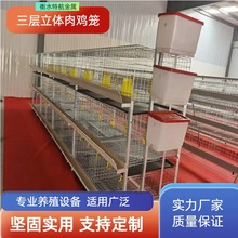 肉雞籠鍍鋅防銹自動H型立式雛肉兩用雞籠農用畜牧含托糞盤塑料網