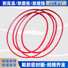 汽車耐高溫氟膠密封圈 耐酸鹼氟膠密封件 耐腐蝕氟膠墊 源頭工廠