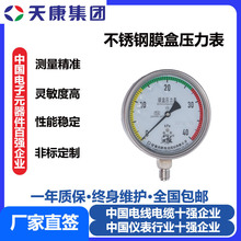 安徽天康集團儀表不銹鋼耐震膜盒壓力表YE-100