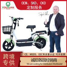 出口雅迪同款電動車電瓶車新款輕便型電動自行車工廠批發