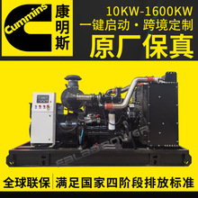 250kw柴油發電機組 東風康明斯無刷全銅發電機 250千瓦三相電機