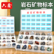 岩石礦物標本24種礦石岩石標本盒岩石與礦物標本小學科學實驗教具