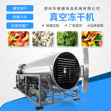 真空冷凍干燥機 食品凍干機 可定規格-葯材食材低溫冷凍干燥機器