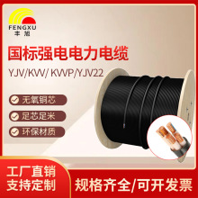 豐旭強電電力電纜YJY YJV KVV KVVP YJV22廠直銷低壓高壓無氧銅芯