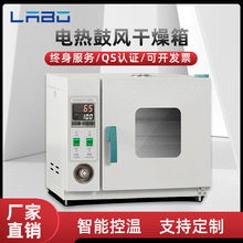 電熱鼓風干燥箱高溫加熱小型工業烤箱恆溫烘干機實驗室烘箱廠家