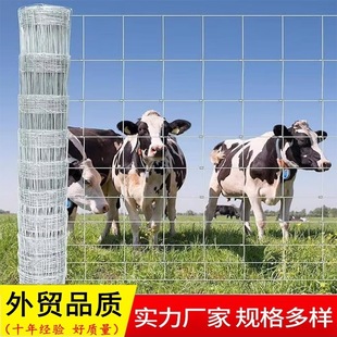 r¹ţھW Farm Fence䓽zZinc Coating Cattle Fence