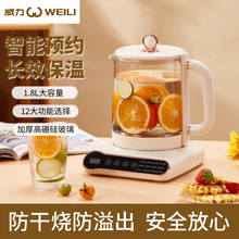 跨境威力養生壺家用多功能全玻璃煮茶器辦公室智能花茶壺電熱水壺