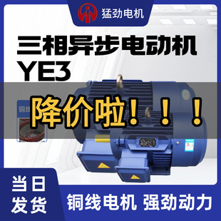 YE3/2三相異步電動機 380V國標銅5.5千瓦30kw電機11KW/7.5/15KW/2