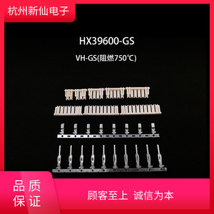 HX39600-GSi-VH-tB / 1l100