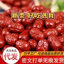 廠家直發代發棗雨新疆紅棗若羌灰棗特級免洗網紅非和田大棗若羌紅