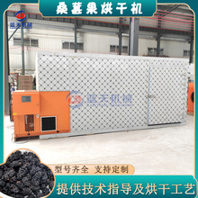 桑葚烘干機 全自動生物質顆粒桑葚果烘烤機 桑泡兒桑椹子烘干設備