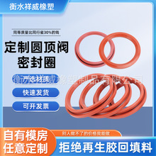 圓頂閥密封圈切換閥氟膠密封圈插入式橡膠密封圈電廠圓頂閥密封圈